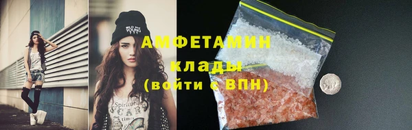 гидра Надым
