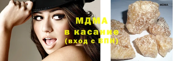 гидра Надым