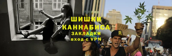 ГАЛЛЮЦИНОГЕННЫЕ ГРИБЫ Наволоки
