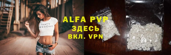 гидра Надым