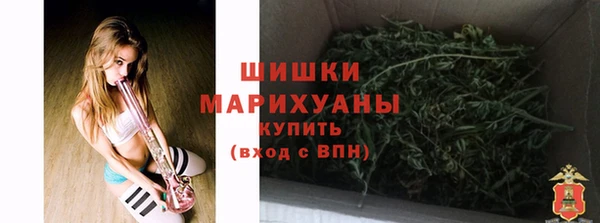 гидра Надым