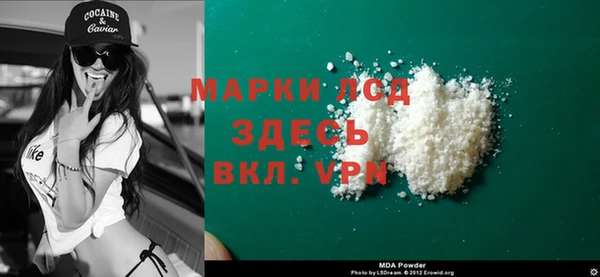 гидра Надым