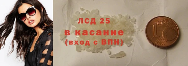 гидра Надым