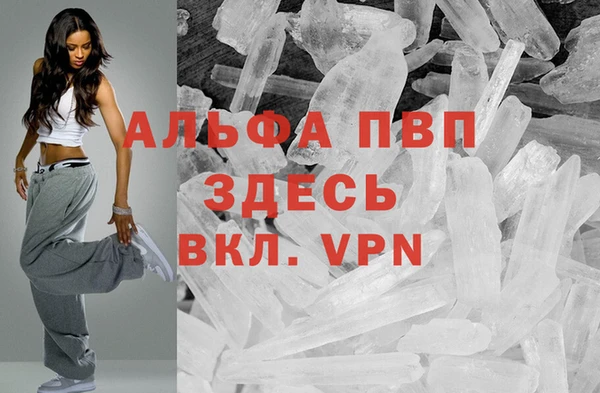 гидра Надым