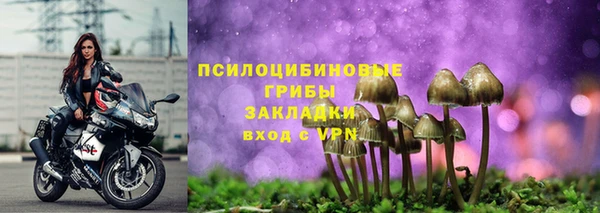 молекула духа Михайловка