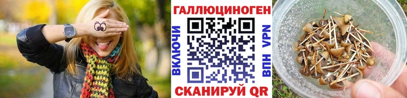 Галлюциногенные грибы Psilocybine cubensis  Ладушкин 